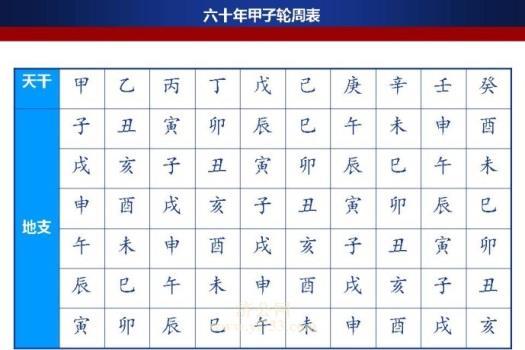 八字基础知识十神