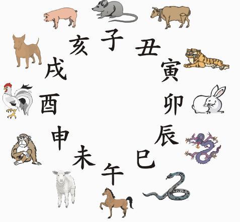 生肖猪命理分析