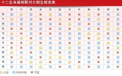 日支时支相冲